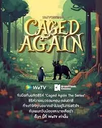 《再次被关》：人性挣扎与救赎，深陷囹圄后的绝望与希望