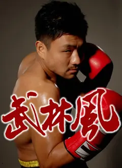 武林风2016：搏击擂台上的热血与荣耀