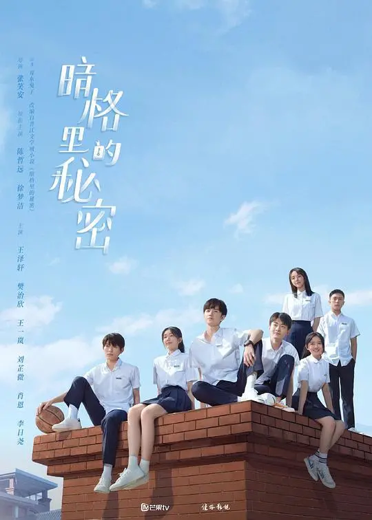 《暗格里的秘密速享版》：青春悸动，甜度超标！学霸与迷糊少女的夏日心动之旅