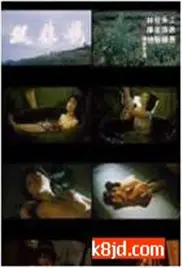 《双姝艳》深度剖析：两美女的命运较量与情感纠葛，如何上演惊心动魄的爱情游戏？