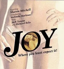 Joy 海报